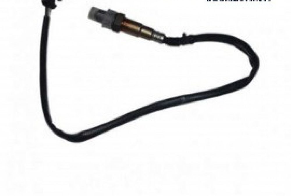 سنسور اکسیژن X22