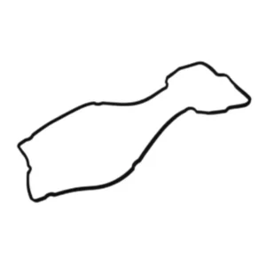 واشر درب سوپاپ برلیانس H220