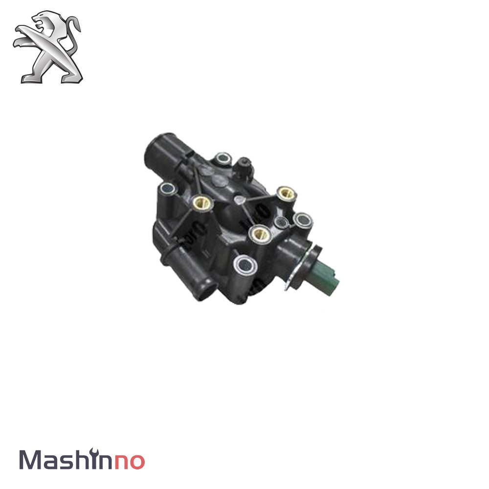 ترموستات پژو301